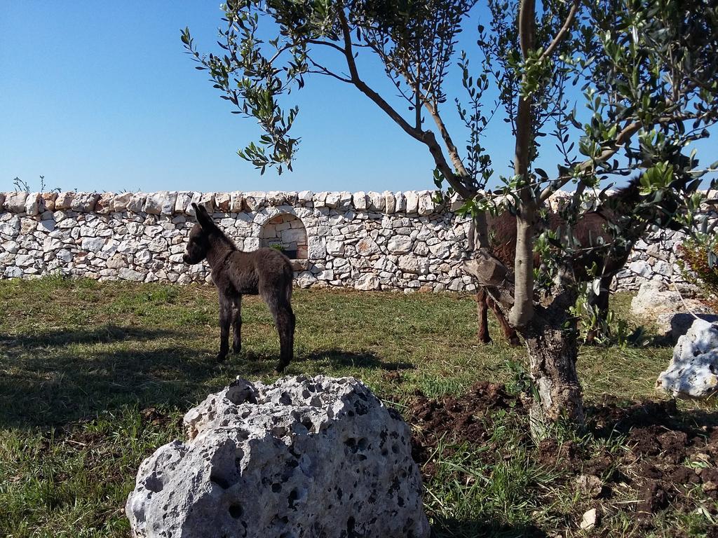 Agriturismo Masseria Casedde Vecchie Martina Franca Exterior foto